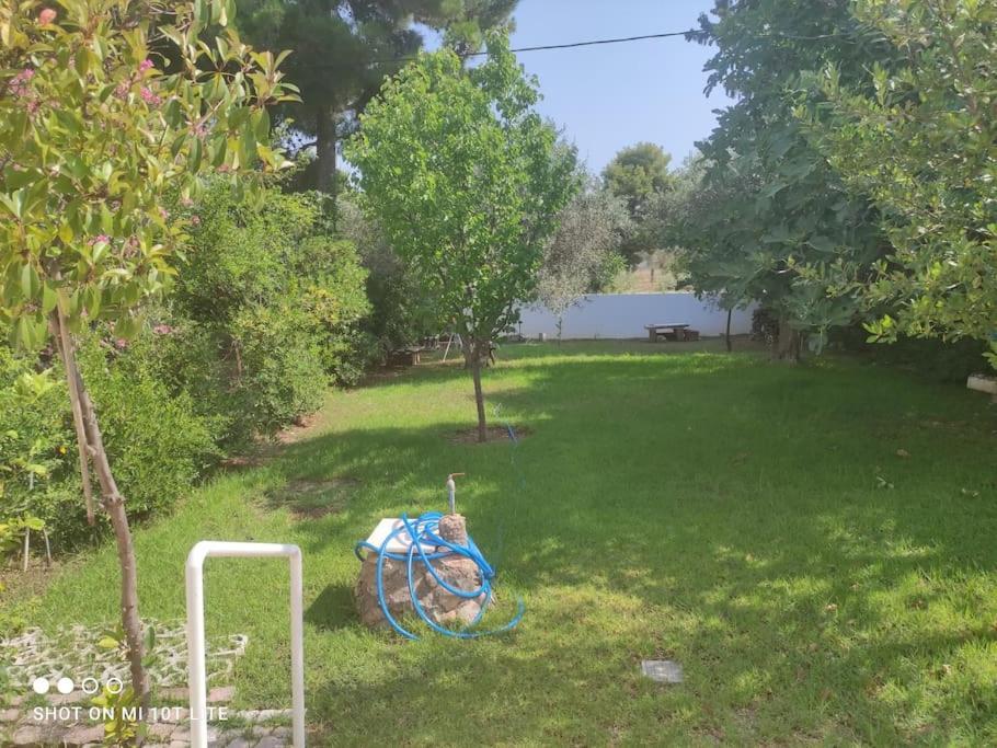 Seaside In Holiday home Eretria (Evia)